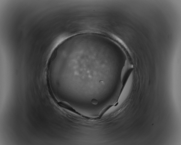 X0000086321463200704131643