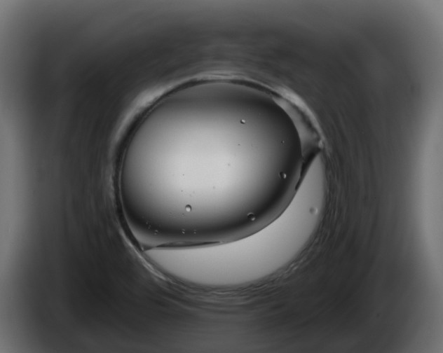 X0000086321464200704131643