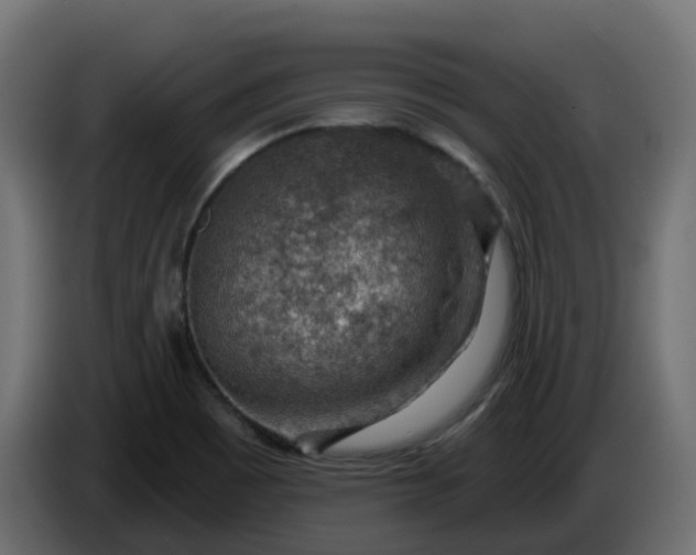 X0000086321465200704131643