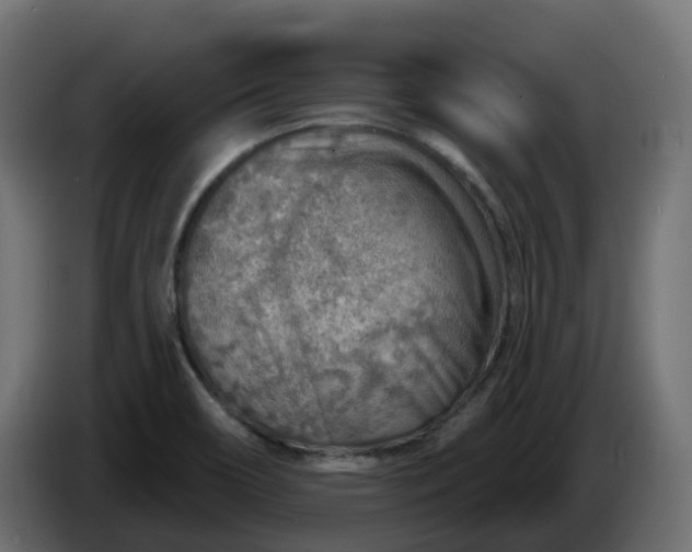 X0000086321466200704131643