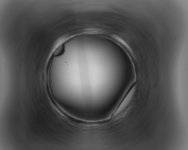 X0000086321467200704131643