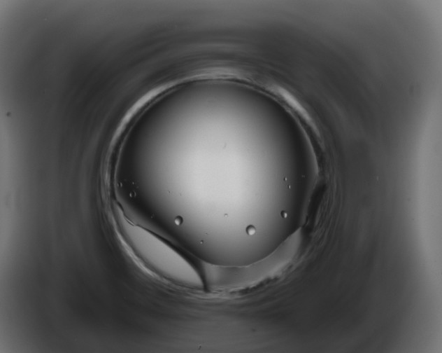 X0000086321468200704131643