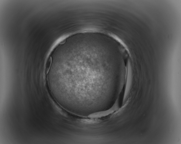 X0000086321469200704131643