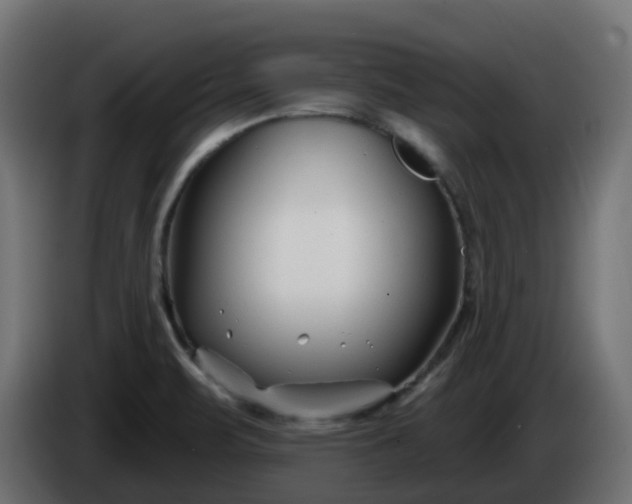 X0000086321471200704131643