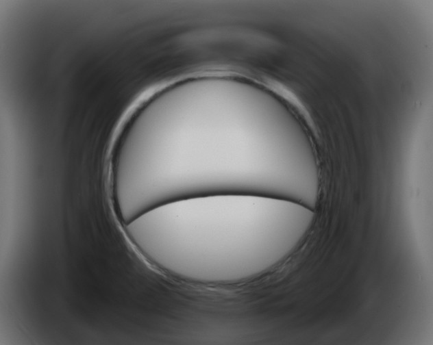 X0000086321472200704131643