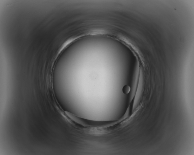 X0000086321473200704131643