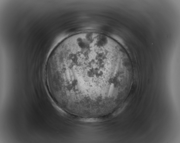 X0000086321474200704131643