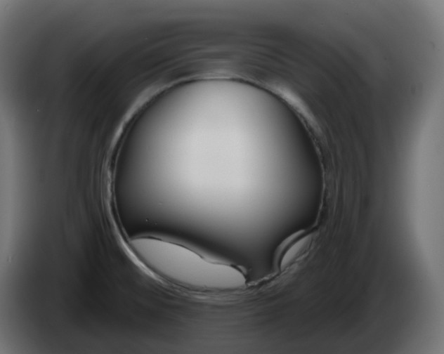 X0000086321476200704131643