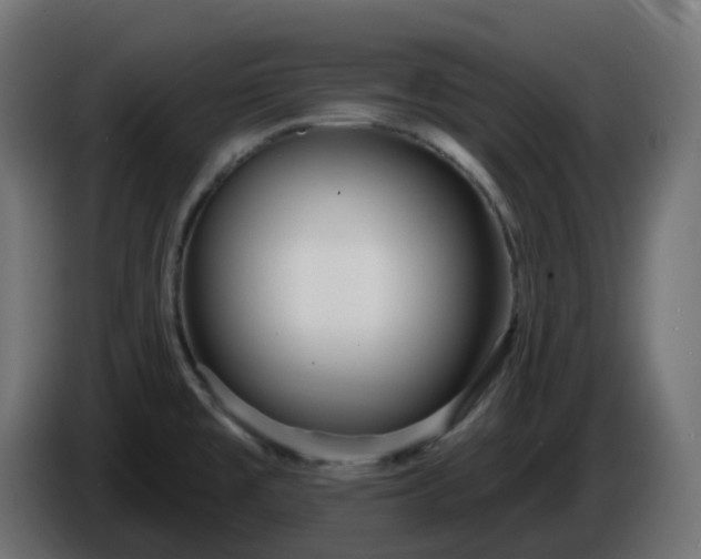 X0000086321477200704131643