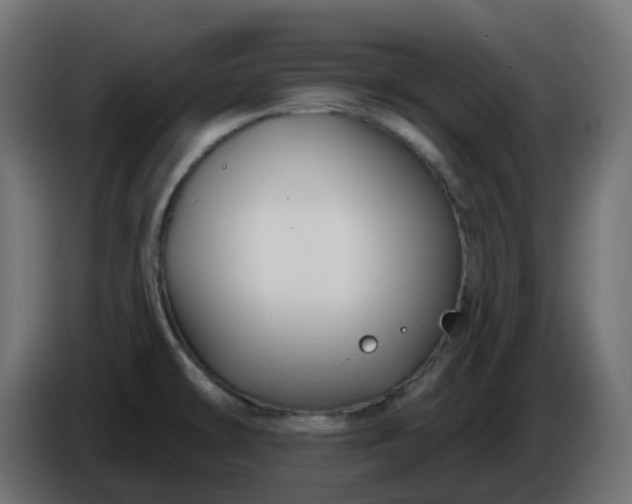 X0000086321478200704131643