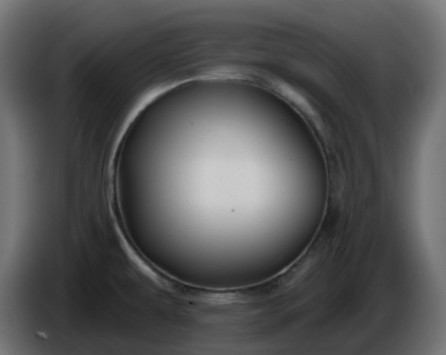 X0000086321479200704131643