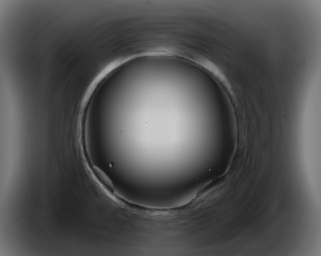 X0000086321480200704131643