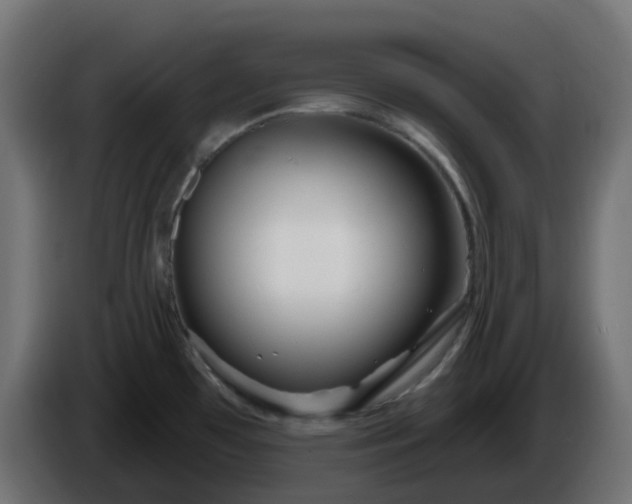 X0000086321481200704131643