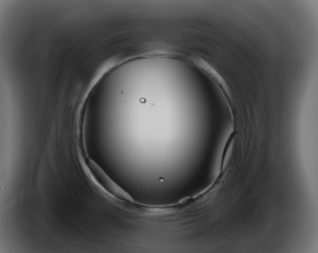 X0000086321483200704131642