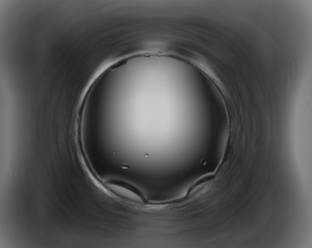 X0000086321484200704131642