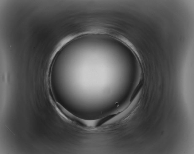 X0000086321485200704131642