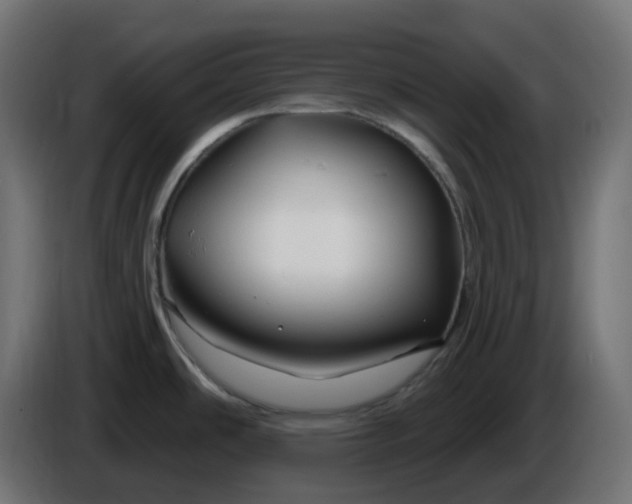 X0000086321486200704131642