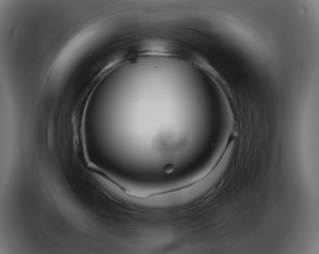 X0000086321487200704131642