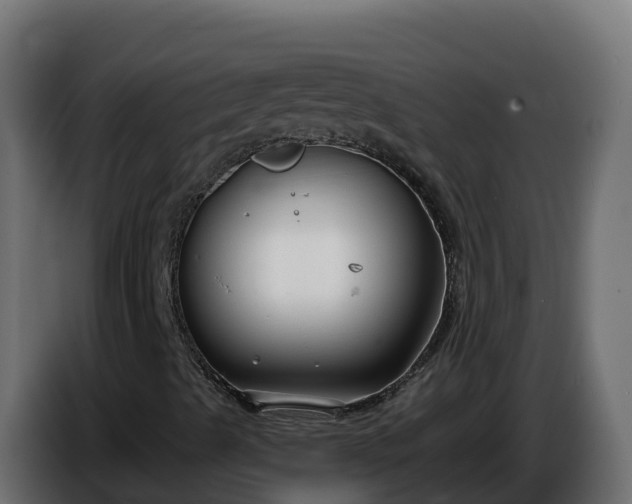 X0000086321489200704131642