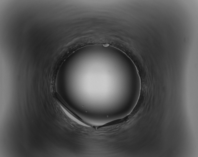 X0000086321490200704131642