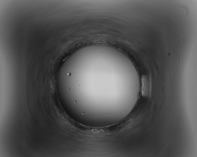 X0000086321491200704131642