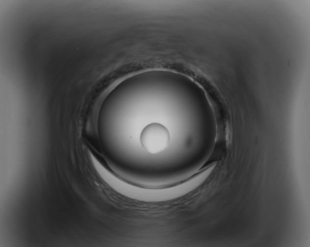 X0000086321492200704131642