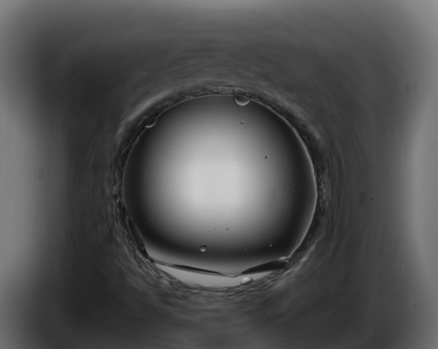 X0000086321494200704131642