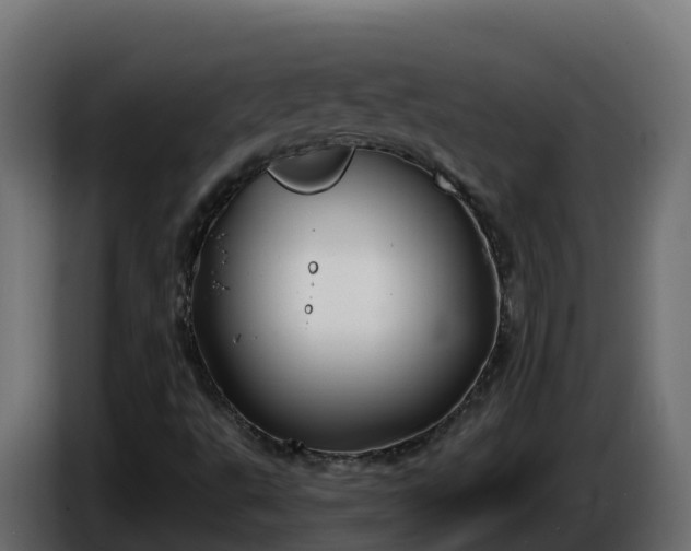 X0000086321495200704131642