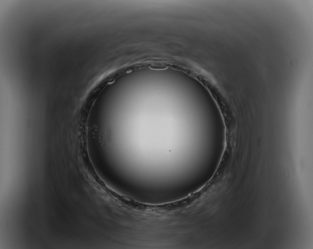 X0000086321496200704131642