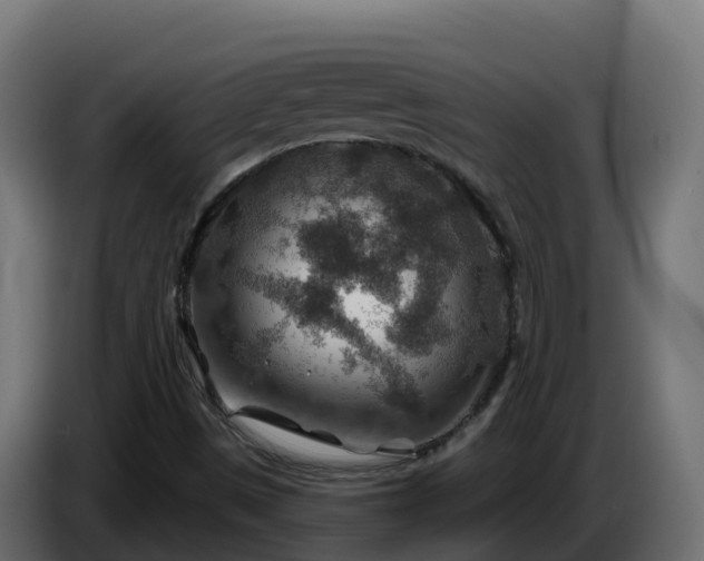 X0000086321497200704131642