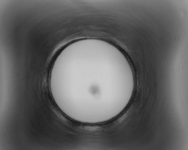 X0000086321498200704131642