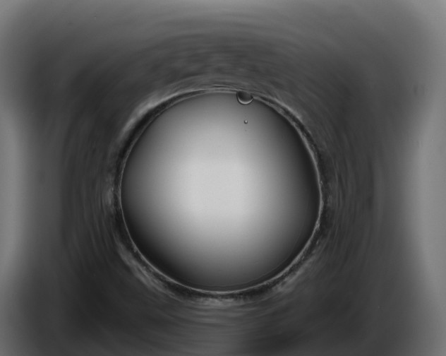 X0000086321499200704131642