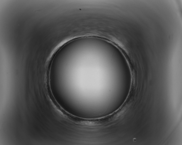 X0000086321500200704131642