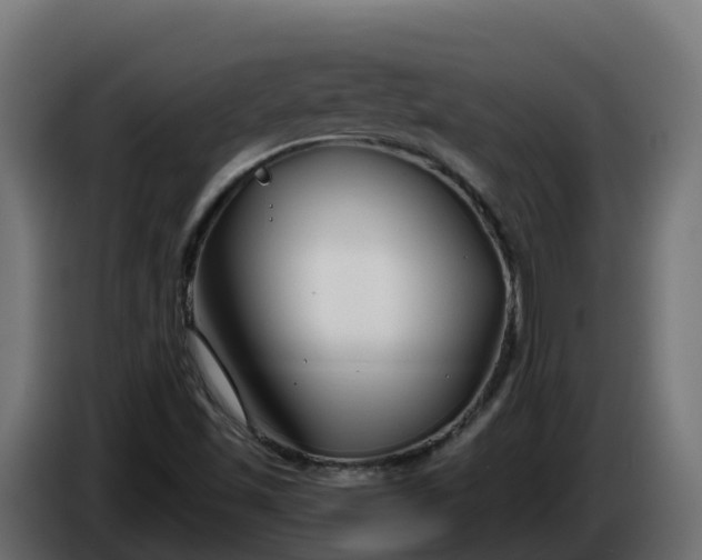 X0000086321501200704131642