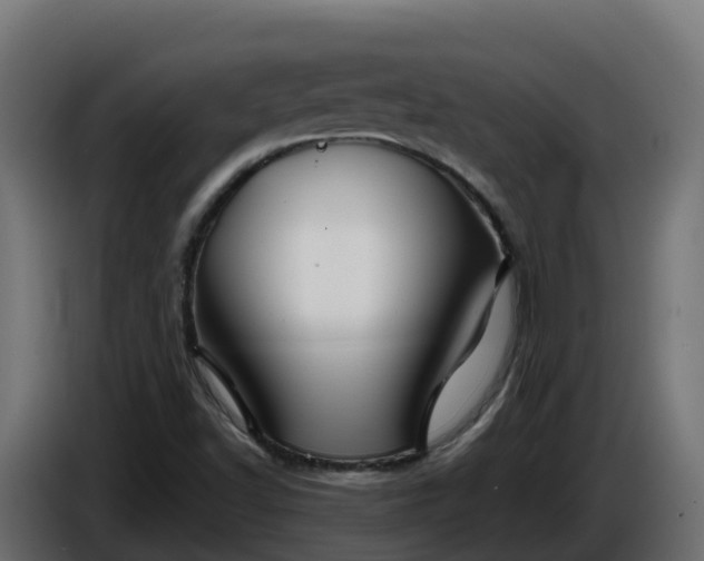 X0000086321502200704131642