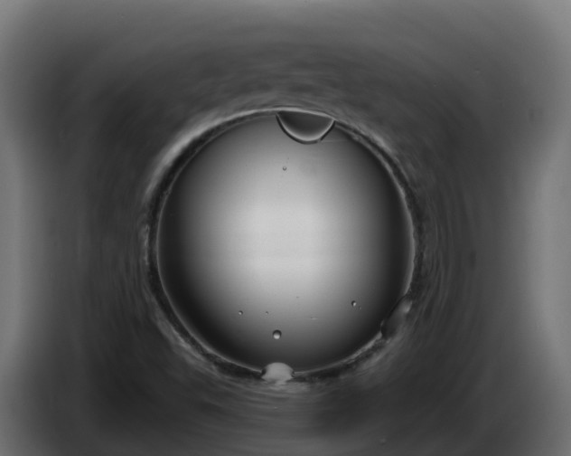 X0000086321503200704131642