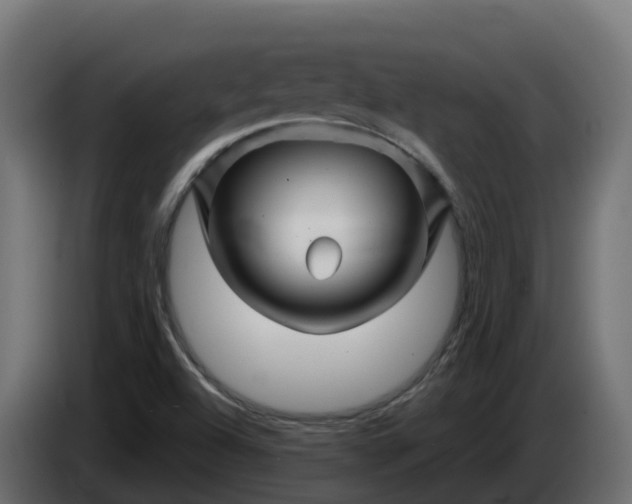 X0000086321504200704131642