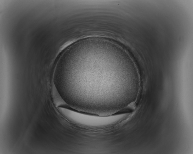 X0000086321505200704131642