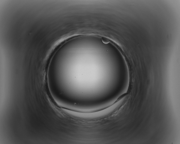 X0000086321507200704131642