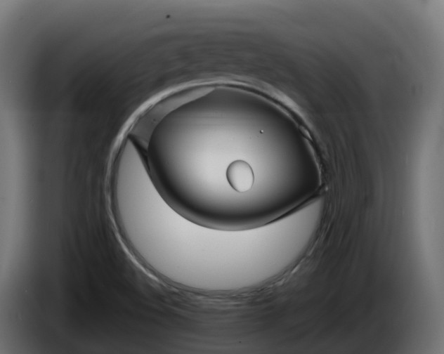 X0000086321508200704131642