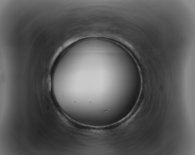 X0000086321509200704131642