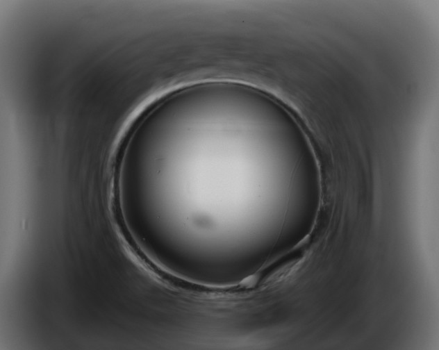 X0000086321511200704131642