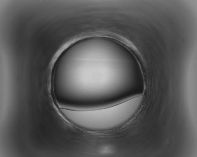 X0000086321512200704131642