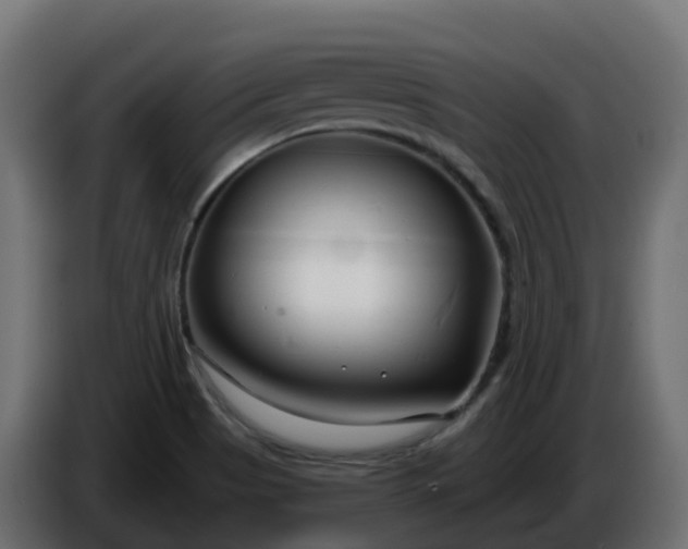 X0000086321513200704131642