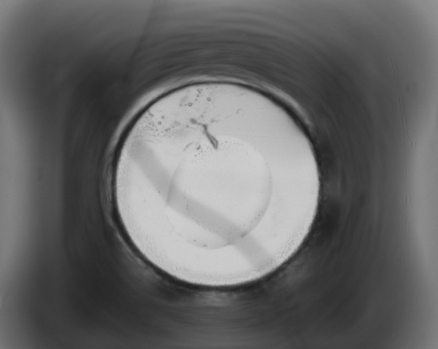 X0000086321514200704131642