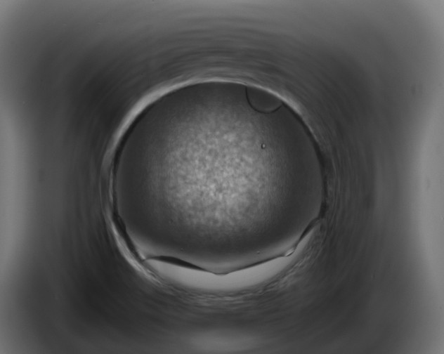 X0000086321515200704131642