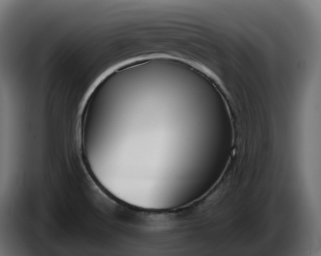 X0000086321516200704131642