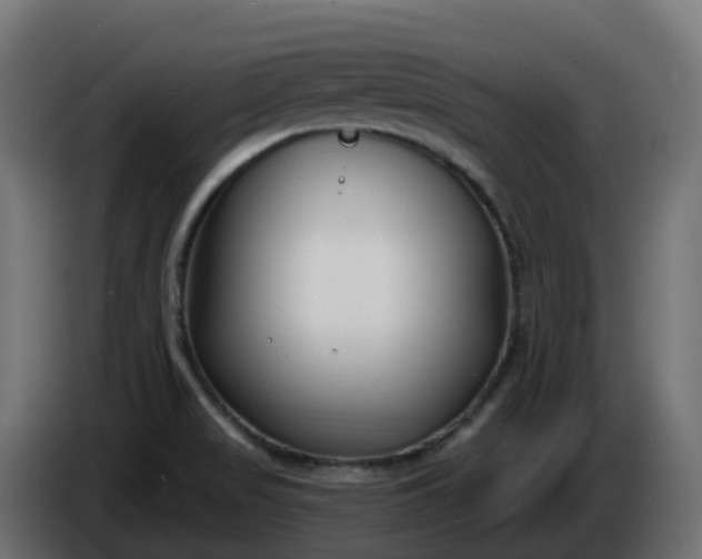 X0000086321517200704131642