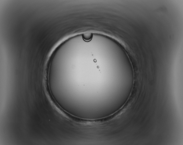 X0000086321518200704131642