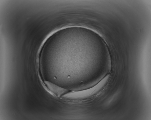 X0000086321519200704131642